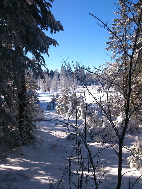 Schwarzwald-Chalet Feldberg Lejlighed Feldberg  Eksteriør billede