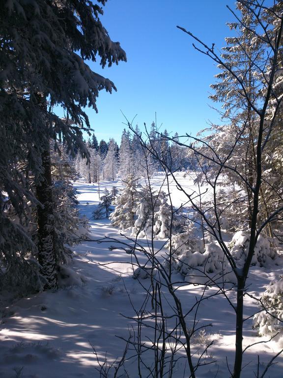 Schwarzwald-Chalet Feldberg Feldberg  Eksteriør billede