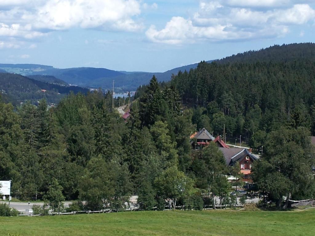 Schwarzwald-Chalet Feldberg Lejlighed Feldberg  Eksteriør billede