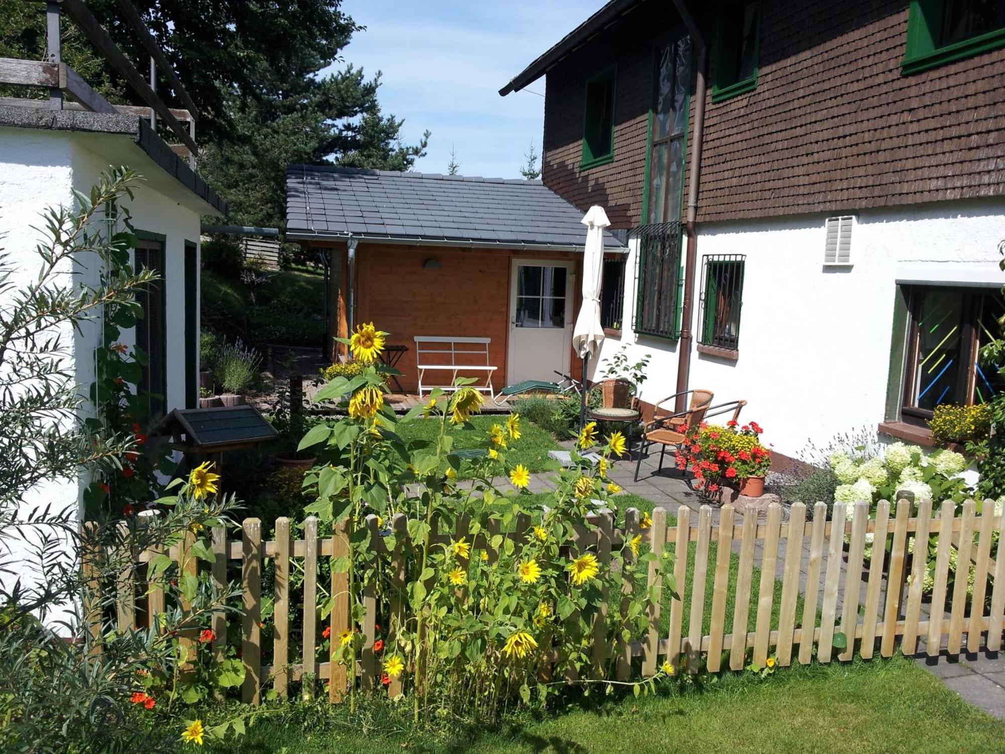 Schwarzwald-Chalet Feldberg Lejlighed Feldberg  Eksteriør billede