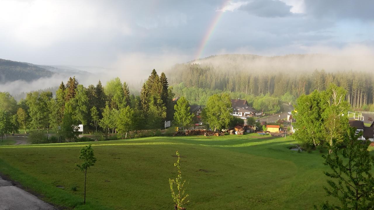 Schwarzwald-Chalet Feldberg Lejlighed Feldberg  Eksteriør billede